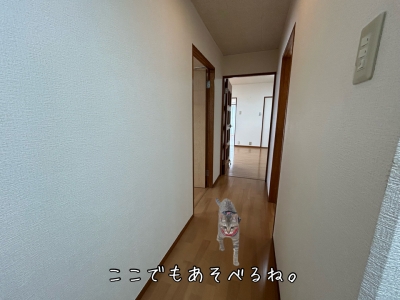 コーポ芝中７０５号室